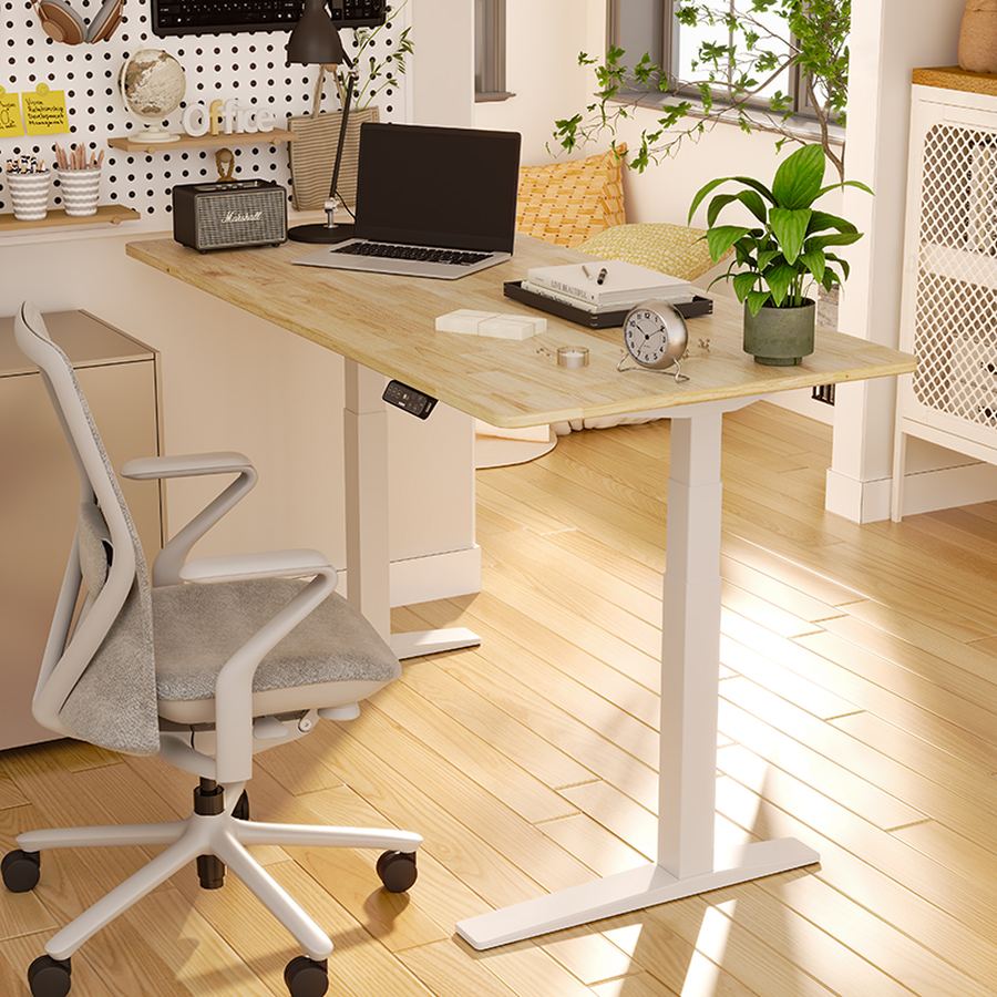 FlexiSpot E7 Pro standing desk in a home office